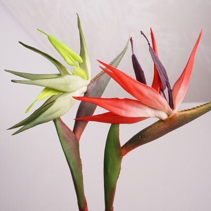 Realistic Touch Soft Rubber Bird of Paradise Flower - Stunning Orchid Stem for Weddings, Home Decor, and Artistic Floral Arrangements