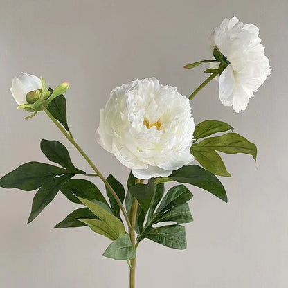 Lifelike Artificial Peony Flower Bouquet - 3 Heads Faux Peony Arrangement for Home Décor and Wedding Decoration - Perfect for Living Room Centerpieces