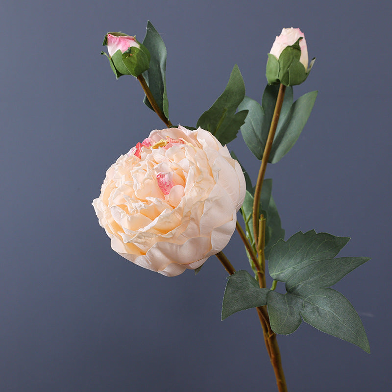 Realistic Faux Edge Peony Silk Flower - Single Stem with 3 Buds - Perfect for Weddings, Living Room Decor, and DIY Craft Projects