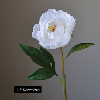 Artificial Single Stem French Peony - Realistic Faux Flower for Home Decor, Living Room Arrangement, and Garden Design