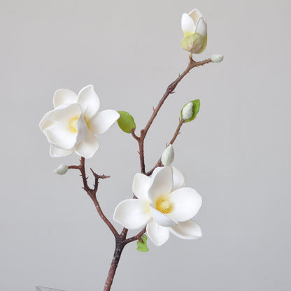 Elegant Magnolia Artificial Flowers -  EVA Cotton Home Decor Piece - Perfect for Living Room Styling & Photography Props - Stunning 3-Head Arrangement