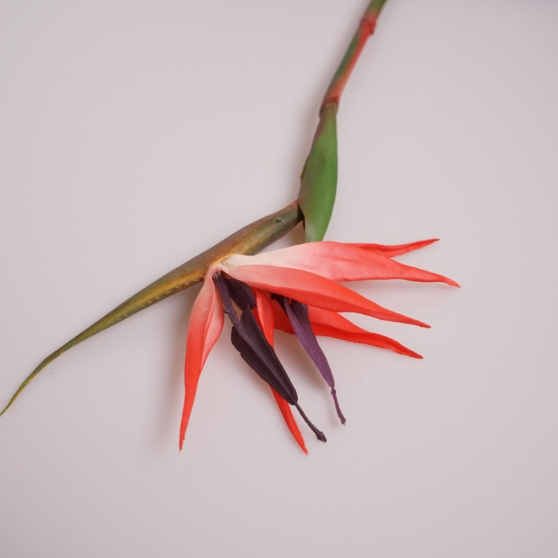 Realistic Touch Soft Rubber Bird of Paradise Flower - Stunning Orchid Stem for Weddings, Home Decor, and Artistic Floral Arrangements