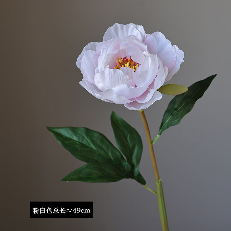 Artificial Single Stem French Peony - Realistic Faux Flower for Home Decor, Living Room Arrangement, and Garden Design