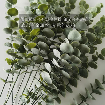 Realistic Eucalyptus Money Leaf Soft Gel Single Stem - Lush Greenery Floral Accent for Home and Living Room Decor