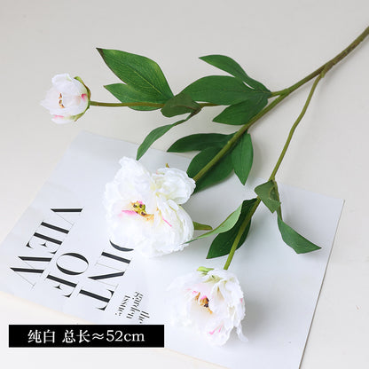 High-Quality Artificial Peony Flowers for Living Room Decor – Elegant Floral Arrangements, Perfect Home Accents for Photography Props and Stylish Decor