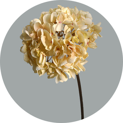 Single Stem Burnt Edge Dry Hydrangea Faux Flower - Perfect for Home Decor, Retail Displays, and Elegant Arrangements