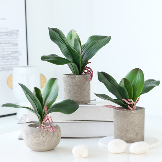 Realistic Mini Orchid Leaves for Arrangements - Soft Touch Faux Butterfly Orchid Leaves - Perfect Floral Accessories for Home Decor