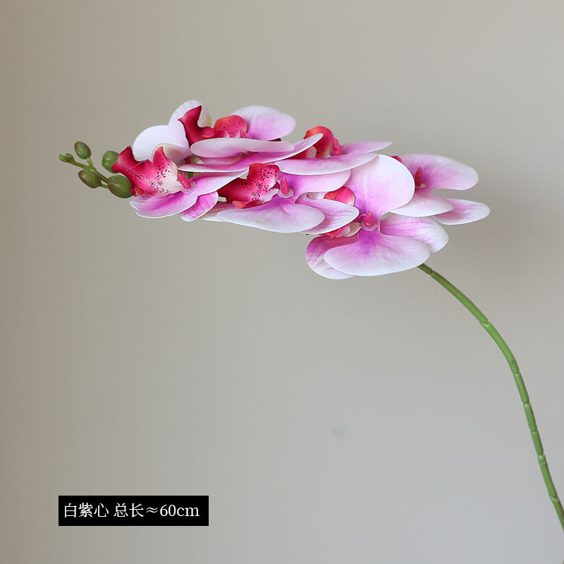 Elegant 3D Printed Realistic Single Stem 7-Head Phalaenopsis Orchid - Luxurious Home Décor for Living Room and Dining Table Arrangements