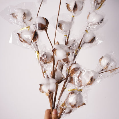 Realistic Artificial Dried Cotton Flower Branches -  Home Decoration for Living Rooms, Elegant Floral Arrangements for Weddings and Special Occasions