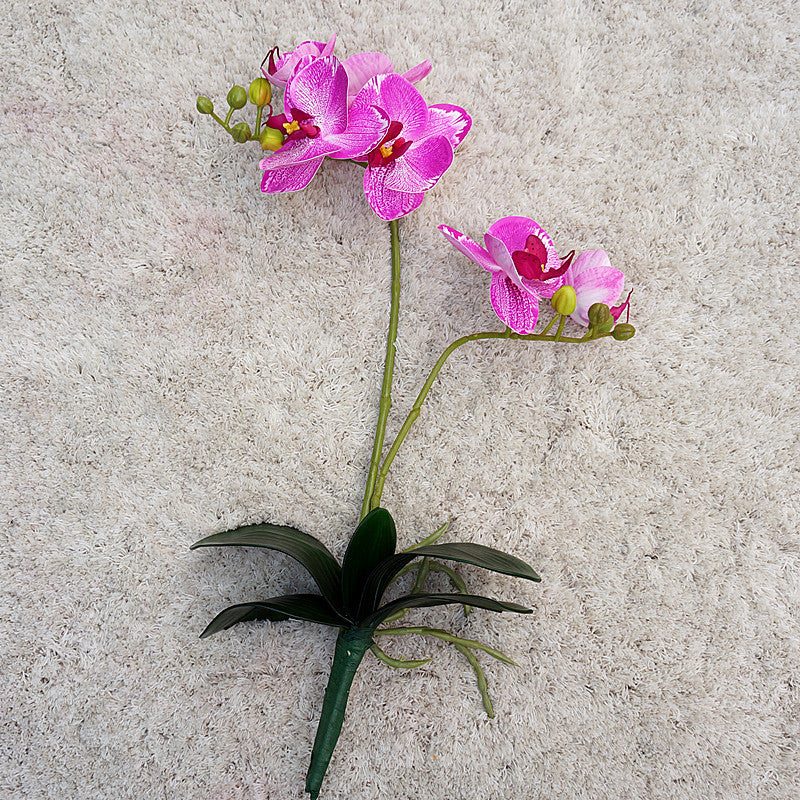 Lifelike Two-Branch Orchid Silk Flowers with Foliage | Perfect for Weddings, Photography, Home Decor & Shop Display | Stunning Simulation Flower Arrangement