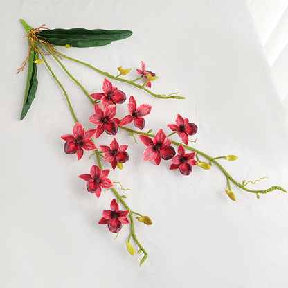 Lifelike Wedding Ceiling Décor with Touch-Feel Leafy Phalaenopsis Orchid Vines - Perfect for Retail Window Displays and Event Decoration