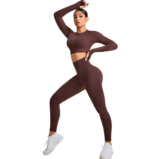 Seamless Women's Yoga Outfit Set for Fall and Winter Long Sleeve Stretchy Activewear for Outdoor Sports and Fitness