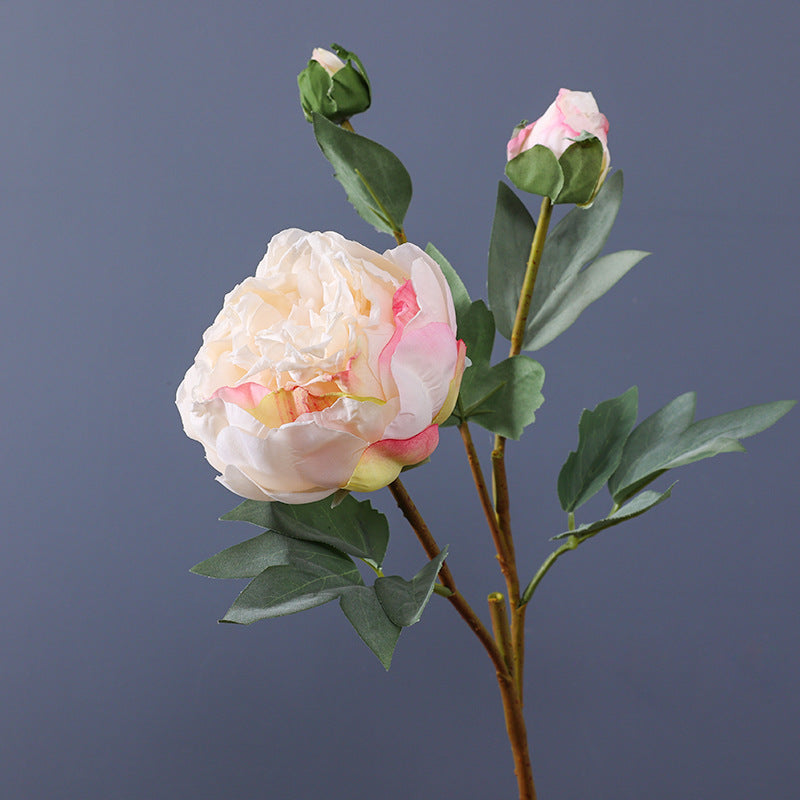 Realistic Faux Edge Peony Silk Flower - Single Stem with 3 Buds - Perfect for Weddings, Living Room Decor, and DIY Craft Projects