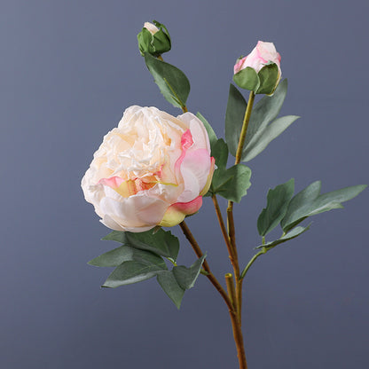 Realistic Faux Edge Peony Silk Flower - Single Stem with 3 Buds - Perfect for Weddings, Living Room Decor, and DIY Craft Projects