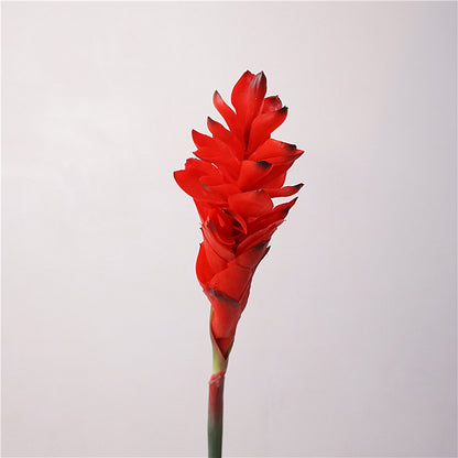 Soft Touch Ginger Blossom Single Stem Faux Flower for Home Decor - Perfect for Weddings, Event Styling, Photography Props, and Lasting Beauty