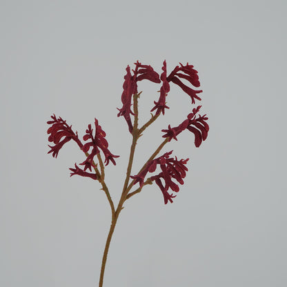 Elegant Scandinavian-Inspired Faux Flowers with Australian Kangaroo Paw for Stunning Home Decor and Photography Props – Perfect for Weddings and Event Styling