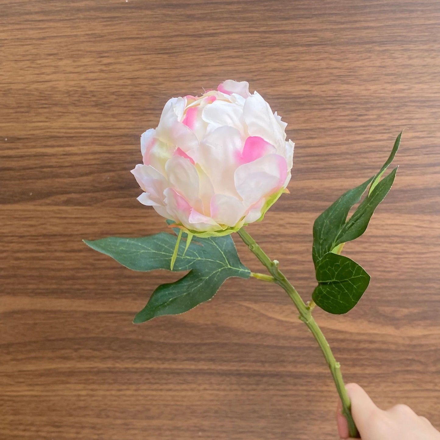 Charming Fresh Peony Bud Faux Flowers for Living Room & Dining Table Decor – Beautifully Crafted Floral Arrangements for Home, Photography, and Special Occasions