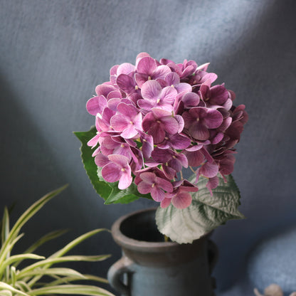 Luxurious High-Quality 3D Printed Hydrangea Flowers - Stunning Home Décor & Perfect Wedding Photography Props