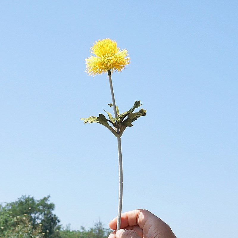 Realistic Artificial Dandelion - European Style Plastic Flower for Home Décor, Garden Arrangements, Wedding Celebrations, and Photography Props