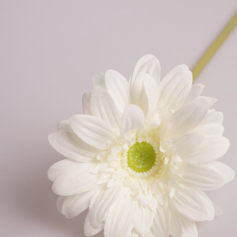 Luxurious Touch Moisturizing African Daisy Realistic Single Stem Faux Flower - Perfect for Home Décor, Soft Furnishings, and Photography