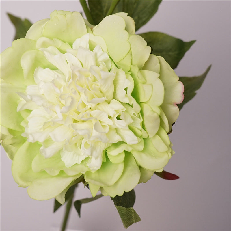 Lifelike Green Peony Artificial Flowers - Moisture-Enhancing Touch, Perfect for Indoor Dining Table Arrangements, Staging, and Photography Props