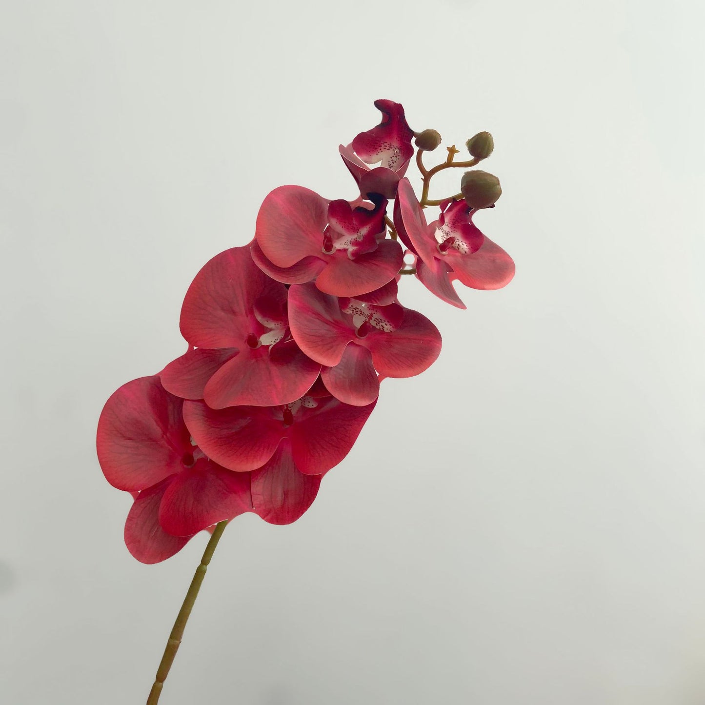 Elegant 3D Printed Orchid Flowers - Realistic 7-Head Faux Orchid Design for Luxurious Home Decor and Chic Living Room Accents