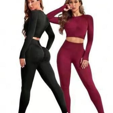 6 Color Seamless Fall Winter Yoga Set for Women Long Sleeve High Waist Tummy Control Leggings Workout Top for Fitness and Active Lifestyle