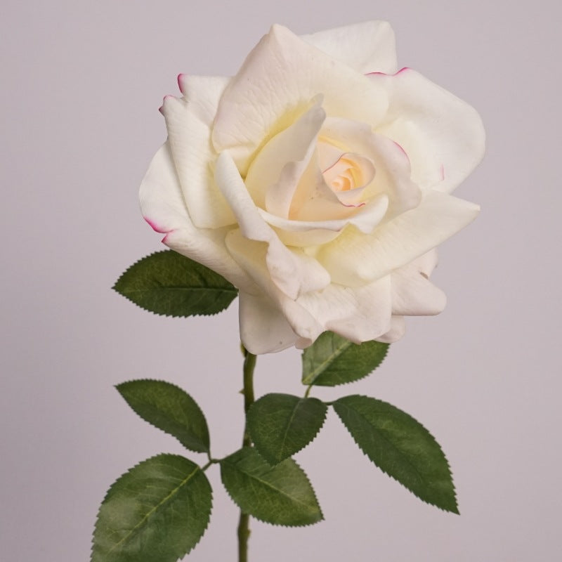 Luxurious Touch Moisturizing Faux Rose Décor - Perfect for Weddings, Home Decor, Table Arrangements & Photography Props | Single Stem Realistic Silk Flower