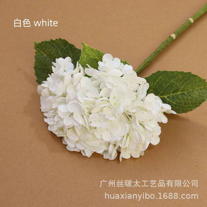 Realistic 3D Printed Hydrangea: Luxurious Faux Flower for Weddings and Event Decor - Perfect for Photography Studios and Lasting Floral Arrangements