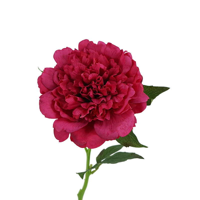 High-Quality Artificial Peony Flowers for Home Décor - Luxurious Touch for European Table Settings & Photography Props