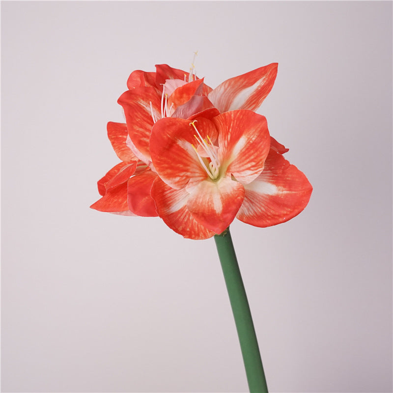 Lifelike Moisturizing Single Stem Amaryllis Flower - Ideal for Home Decor, Wedding Arrangements, and Photography Props