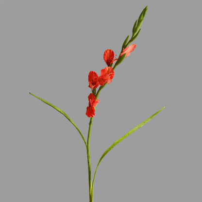 Realistic Single-Stem Gladiolus Flower - Modern Minimalist Decorative Bouquet for Home Decor, Photography Props, and Elegant Displays