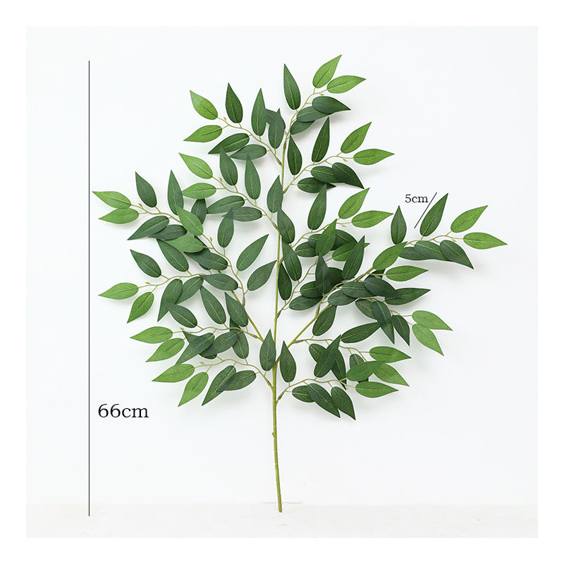 Realistic Faux Green Plant - Olive Leaf Tree Decorative Accent for Weddings, Living Rooms, and Interior Photography