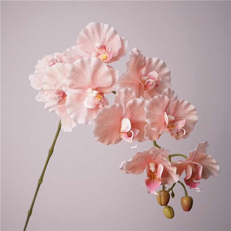 9-Stem European-Style Orchid Bloom Arrangement – Chic Korean-Inspired Floral Decor for Stunning Photography and Elegant Home Decor