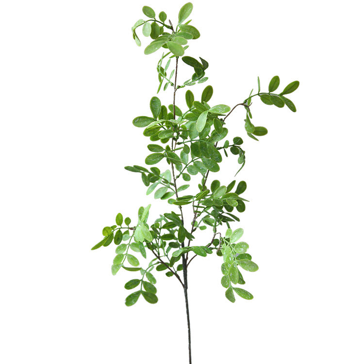 Realistic Artificial Sophora Japonica Leaves - Perfect for Home Décor, Floral Arrangements, Photography Props, and Creative Craft Projects