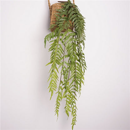 Lush Green Wall-Mounted Hanging Fern Plant - Beautiful Trailing Greenery for Home Decor, Indoor Plants, and Vertical Gardens