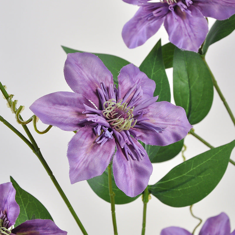 Stunning Artificial Clematis Flowers for Modern Minimalist Home Decor – Perfect for Living Room Aesthetics and Elegant Floral Arrangements