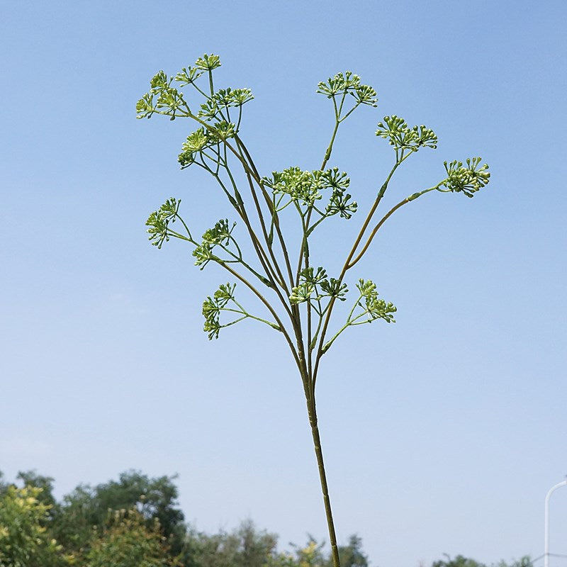 Lifelike Faux Fennel Flower Branches - Versatile Plastic Home Decor for Weddings, Rustic Touches, and Seasonal Arrangements