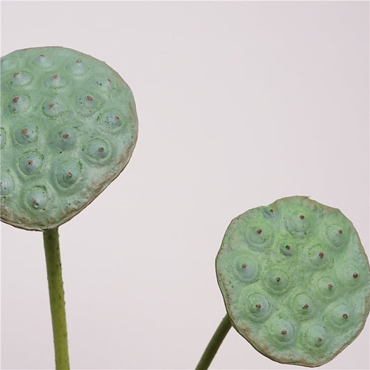 Realistic Green Lotus Seed Pod Decorative Flower Arrangement — Fresh and Charming Pond Centerpiece Accent for Artful Floral Displays