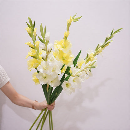 High-Quality European Style Realistic Single Stem Soft Silicone Gladiolus - Perfect for Home Decor, Weddings, and Event Decor