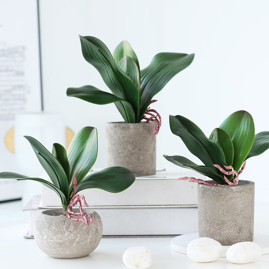 Lifelike Artificial Orchid Leaves - Soft Touch Greenery for Home Decor, Perfect for Small Potted Arrangements and Floral Displays