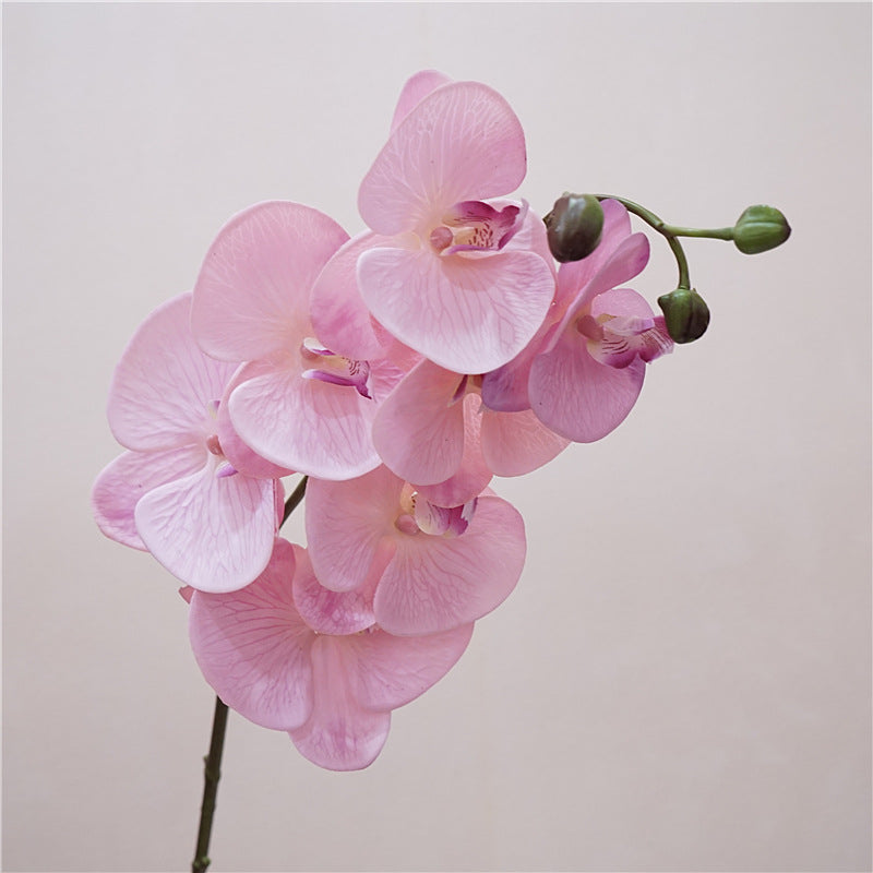 Realistic Touch Moisturizing Orchid - Elegant Faux Flower Arrangement for Living Room Decor, Perfect Photography Prop & Wedding Decoration