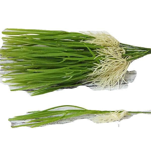 Realistic Plastic Water Grass and Wheat Sprouts (Creamy White Roots) - 12 Stems per Bundle for Home Décor and Decorative Accents