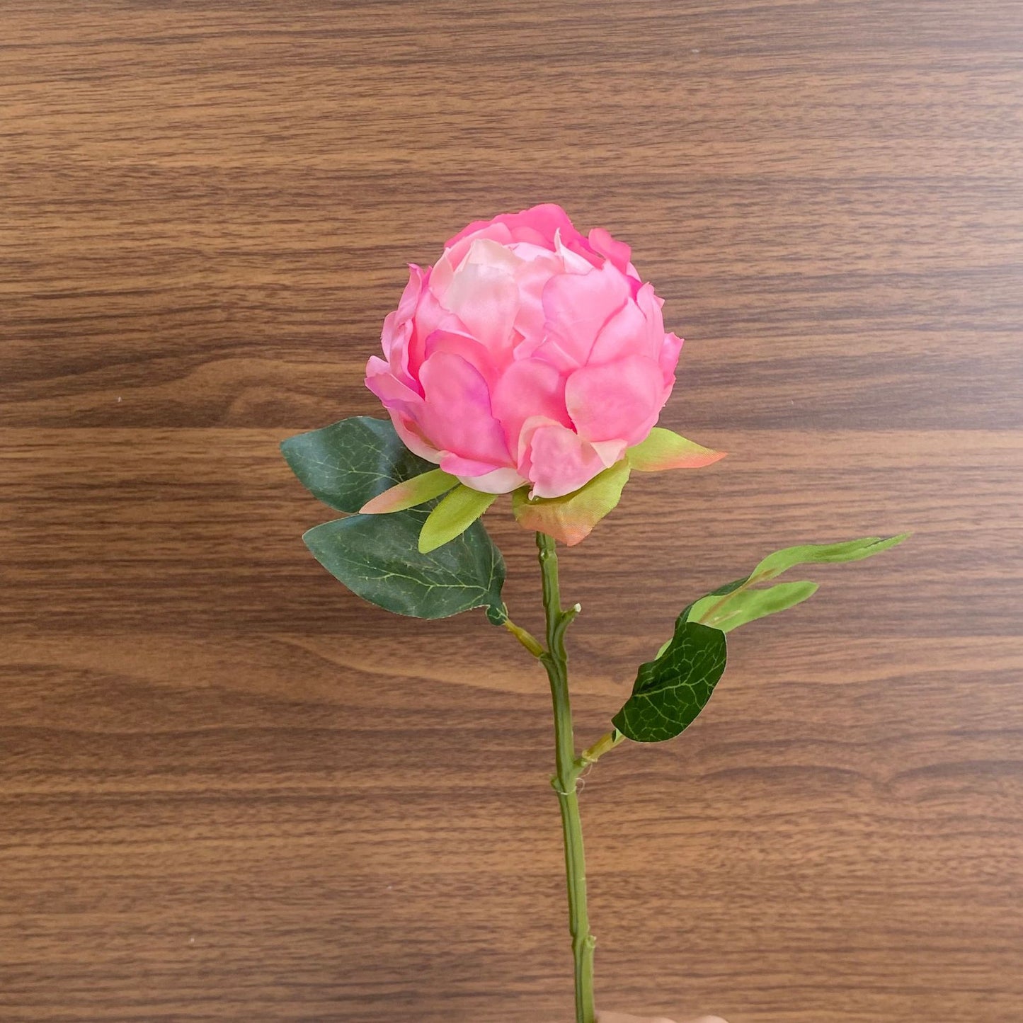 Charming Fresh Peony Bud Faux Flowers for Living Room & Dining Table Decor – Beautifully Crafted Floral Arrangements for Home, Photography, and Special Occasions