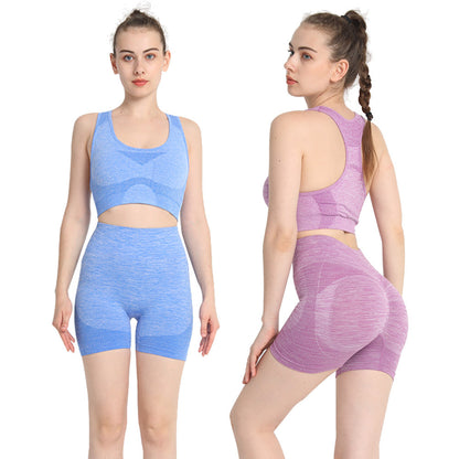 Seamless Women's Yoga Set High Waisted Butt Lifting Peach Butt Shorts and Sports Bra for Comfort and Style