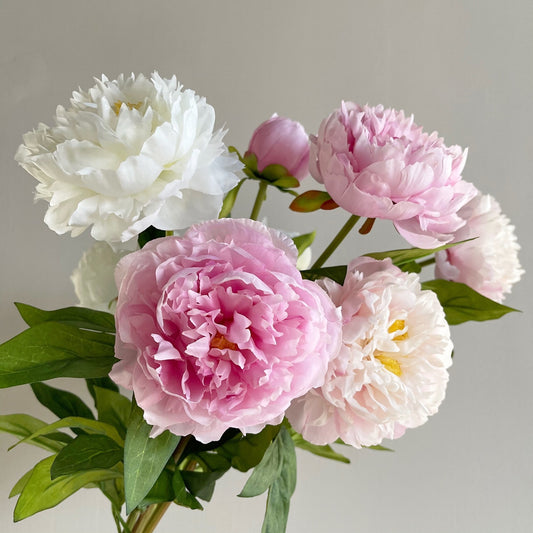 High-Quality Faux Peony Flowers - Stunning 2-Headed Decorative Blooms for Home Staging and Elegant Décor