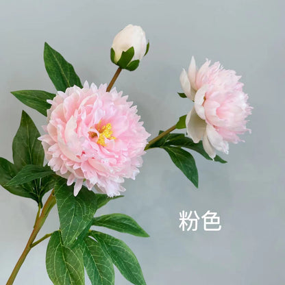 Elegant Home Décor: Long-Stemmed Peony and Paeonia Flowers Bouquet for Living Room | Stunning Soft Decoration with 3-Heads Including Royal Peony