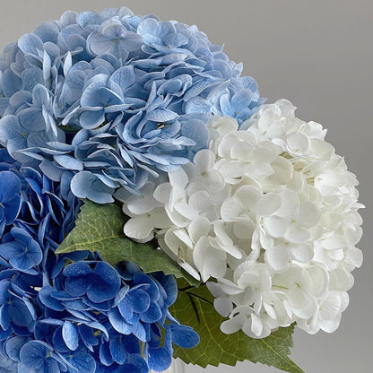 Realistic 3D Single-Stem Hydrangea in a Luxurious Large Planter - Perfect for Hotel Décor, Wedding Settings, and Events