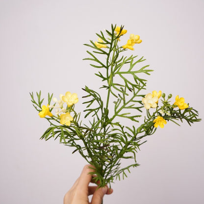 Charming Artificial Daisy Bouquet - Realistic Chamomile Flower Arrangements for Living Room Decor - Beautiful Wildflower Inspired Faux Dried Flower Display - Fresh and Elegant Dutch Daisy Home Accent