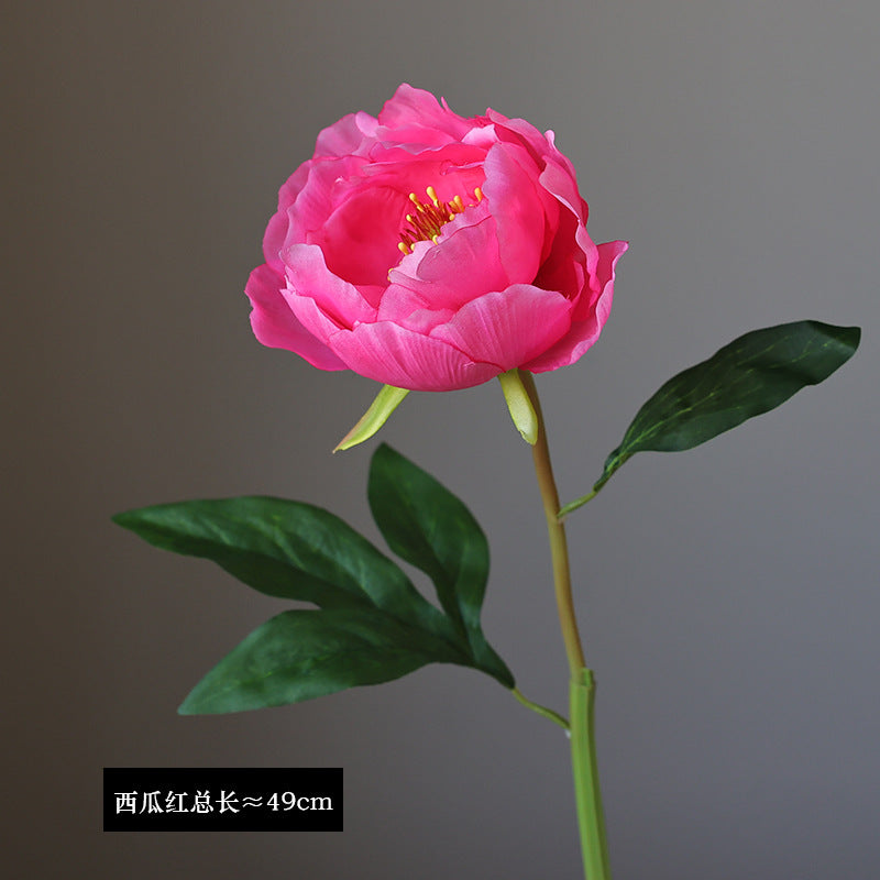 Artificial Single Stem French Peony - Realistic Faux Flower for Home Decor, Living Room Arrangement, and Garden Design